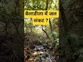 Aakhri Warning।Roots के Water Reservoir को बचाओ।Stop New Mining। #ytshorts #shorts  #भारत