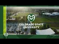 Colorado State University Institutional Profile 2024