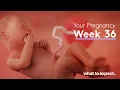 36 Weeks Pregnant - What to Expect