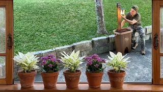 Creative Ideas for Garden Decor that will Surprise You! #4