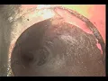 231 N Clifford Ave Rialto Ca inspection sewer 1