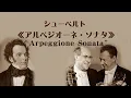 Download Lagu ★シューベルト　「アルペジオーネ・ソナタ」 イ短調 D.821 ロストロポーヴィチ  Schubert  “Arpeggione Sonata”