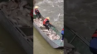 صيد الاسماك الكبيره                                   دندنها