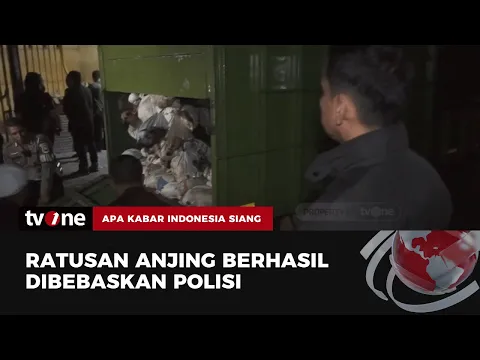 Polisi Gagalkan Pengiriman Anjing Ilegal, Pelaku Terancam 5 Tahun Penjara