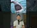 Download Lagu How To Survive Animal Attacks