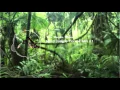 Hard Jungle Terror Mix // NHM#1