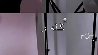 قوليلي يلا ايه الجمال ده كله   مصعب المالكي دندنها