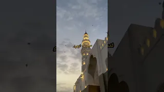 نظرة ياناس مشتاق دندنها