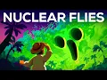 How Nuclear Flies Protect You from Flesh-Eating Parasites