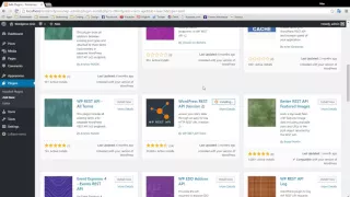 Wordpress REST API