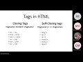 Web Development Basics HTML CSS Intro to JavaScript