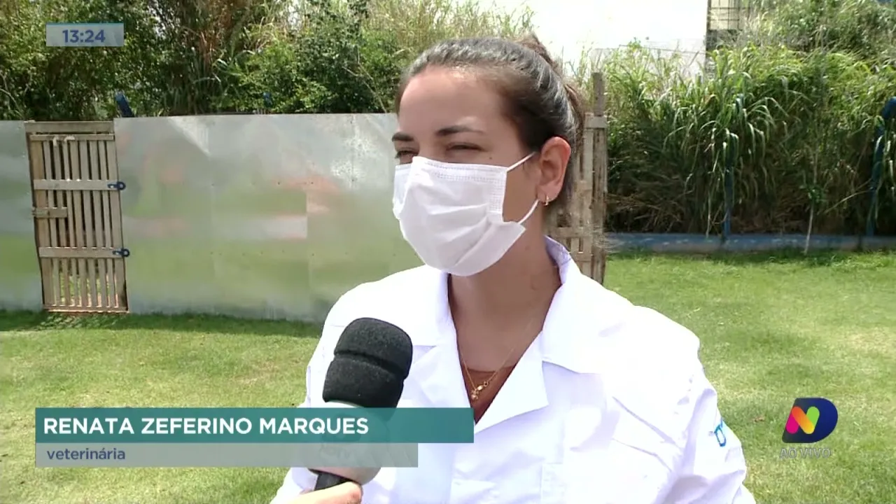 Adotar é Animal: os cuidados com os pets nos dias mais quentes