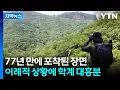Download Lagu [자막뉴스] “앞으로도 번식할 듯”…한국에 터 잡은 멸종위기종에 환호성 / YTN MP3