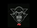 Download Lagu WELCOME TO THE JUNGLE EDM DROP TRANCE REMASTERED DJ PRAJWAL
