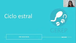 Ciclo Estral em Bovinos