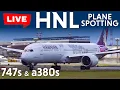 Arrivals and Departures at HNL/PHNL Honolulu Hawaii - Live Planespotting