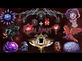 Terraria Calamity Mod - All Bosses Old Master Death Mode Rogue