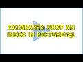 Databases Drop an index in postgresql 2 Solutions