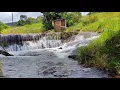 Download Lagu Sítio em Bonito PE 9.5 hectares escritura na colônia do japonês 15 km da cidade 🏙️ $450 mil a pedida