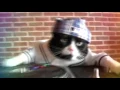Download Lagu DJ Kitty (Dj Snake＆Skrillex - sahara )
