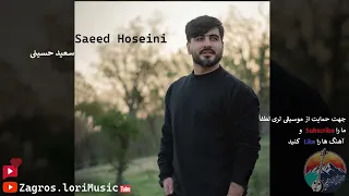 سعید حسینی حیرون 