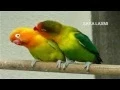 Download Lagu Oru Naal Unnodu  Oru Naal Uravinil Aada Pudhumaigal Kaana