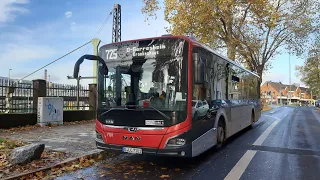                                                                      دندنها