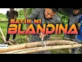 Download Lagu P2 - Blandina Restoration - EP1996