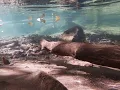Underwater Beach