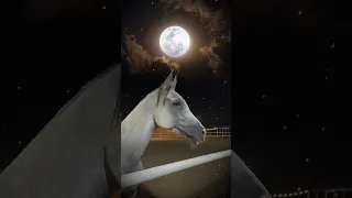 الوقت مر قهوتي مره اهداء 