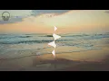 WizTheMc, bees & honey - Show Me Love ( 8D EXPERIENCE 🎧)