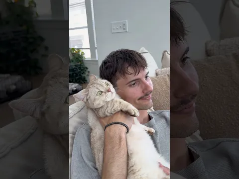 Purrrks 😌🐈 #catsofyoutube #cats #catvideos #catshorts #funnycat