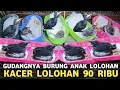 Download Lagu MAU CARI KEMANA ANAKAN KACER 90 BEGINI !! GUDANGNYA BURUNG LOLOHAN DI PASAR BURUNG PRAMUKA 