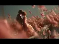Romantic Acoustic Folk | Sunset Field Mood | 2 Hours