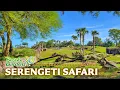 Zoo Tours Serengeti Plain Safari Busch Gardens Tampa Bay