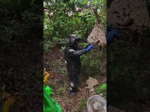 ต่อหล่น