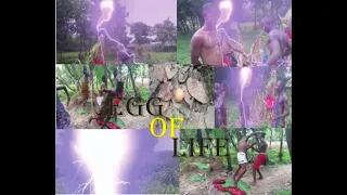 egg of life