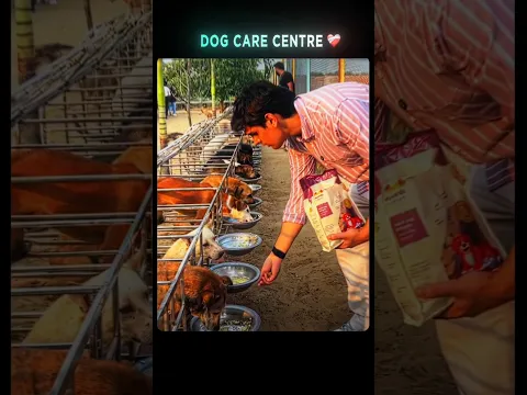 Every dog deserves a home ❤️‍🩹 || Prashant kirad #dogshelter #emotional #prashantkirad
