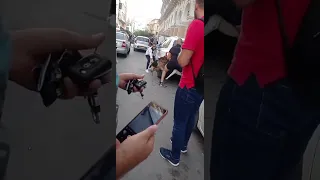 شاهد عندما يلتقي كلب بارجي مع بيتبول في الجزائر الحيوانات والحياة البرية 