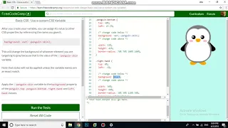 Basic CSS Use a custom CSS Variable free code camp Dani