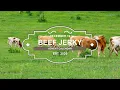 BeefJerky AdventCalendar Day19