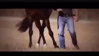 كل الغلط متسجل بس الحساب متأجل دندنها
