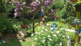 Mostrando as lindas flores do meu jardim 😍 do mês de janeiro 🤩❤️🙌