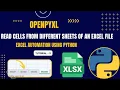 Excel Automation Tutorial - 5 Read Cells from Different Sheets of an Excel FIle openpyxl Python