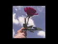 Download Lagu Hoa Chưa Tàn Tình Đã Tan (Lofi Ver.) - NB3 Hoài Bảo x Freak D