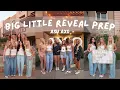 sorority big little reveal