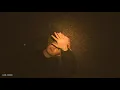 Thomston Lightweight -visualiser
