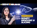 MIND-BLOWING NumPy Array Indexing and Slicing Secrets Revealed
