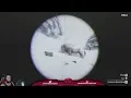 How to Find the Legendary White Bison Red Dead Redemption 2