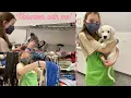 Volunteering at an Animal Shelter